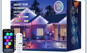 lot 658616 image: Permanent Outdoor Lights - Retail $65