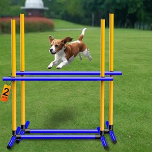 lot 658641 image: Dog Agility Jump Set - Retail $30