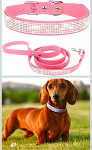 lot 69819 image: Rhinestone Pet Collar and Leash Set (Pink) - Retail $12