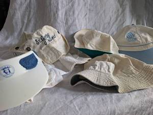 lot 3858 image: White and Blue Logo Hat Collection
