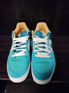 lot 29880 image: Nike SB Force 58 skate shoes  - Retail $85
