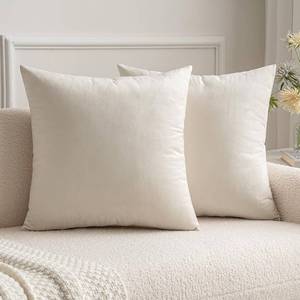 lot 15754 image: Velvet Throw Pillow Covers 20x20 inch, Pack of 2 - Cream White, Soft Solid Decorative Pillow Covers Cushion Cases Modern Luxury Home Decor for Spring Couch Sofa Bedroom Livingroom - Retail $15