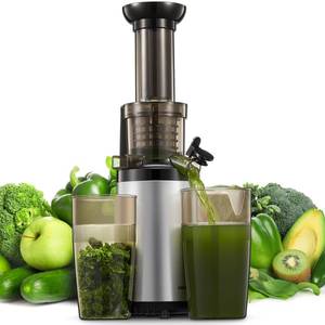 lot 9293 image: Masticating Juicer Machines, Reemix Cold Press juicer Machine Compact & Small Size, Juice Extractor, Nutrient and Vitamin Dense, BPA-Free Tritan, Easy to Clean (Silver)