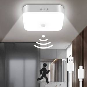 lot 9339 image: Waterproof Rechargeable Shower Light Indoor - 10000mAh Motion Sensor Closet Lights, Battery Operated Ceiling Light for Shower Closet Patio Pantry Hallway Porch Stair