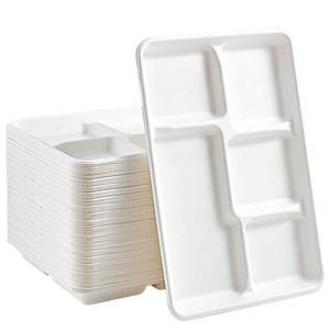 lot 9401 image: Vplus 100% Compostable 5 Compartment Paper Plates, 100 Pack, 12.5 x 8.6 inch Disposable School Lunch Trays, Eco-Friendly Bagasse Plates for Buffet, and Party