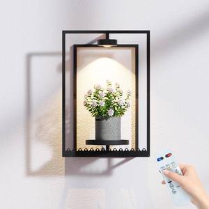 lot 9595 image: Starxing Wall Plant Shelf with Grow Lights, Remote Control Indoor Plant Holder Stand for Hanging Planters, Modern Framed Wall Decor for Living Room, Home M-1PK