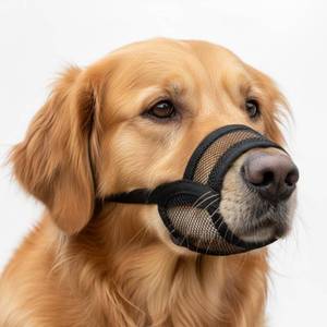 lot 9605 image: OHNSO Dog Muzzle for Large Dogs Breathable Air Mesh Muzzle for Large Sized Dog  Mussels for Dogs Grooming  Muzzles to Prevent Biting Barking Chewing  Allows Panting and Drinking