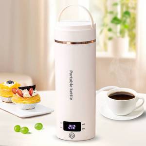 lot 9613 image: Travel Electric Kettle Portable Mini Kettle,Small Hot Water Boiler with 4 Temperature Settings,304 Stainless Steel,Fast Boiling Water with Auto Shut-Off and Boil Dry Protection,400ml (Beige, 400ML)