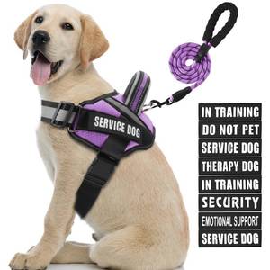 lot 9697 image: Service Dog Vest Harness and Leash Set, Animire in Training Dog Harness with 10 Dog Patches, Reflective Dog Leash with Soft Padded Handle for Small, Medium, Large, and Extra-Large Dogs (Purple, L)