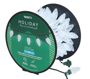 lot 9248 image: Holiday Living 100 LED Cool White Faceted Lights