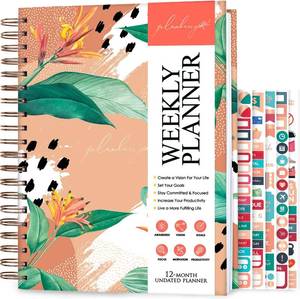 lot 2511 image: PLANBERRY Large Weekly Planner Premium   Undated Life & Budget Planner   Organizer & Productivity Journal, 8x10.4  (African Terracotta)