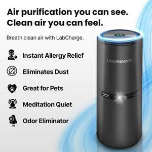 lot 6889 image: LabCharge Small Ionic Air Purifier for Home &amp Bedroom Silent HEPA Filter Covers 250 Sq Ft - Free Cleaner for Pets, Hair, Smoke, Dust, Odors &amp Dander Compact &amp Black Design - Pack of 3