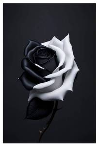lot 7557 image: Vintage Rose Canvas Wall Art, Retro Black And White Rose Flower Painting Picture Print, Modern Rustic Floral Artwork Wall Decor Poster for Living Room Bedroom Bathroom Farmhouse 12X18 No Frame