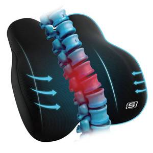 lot 8471 image: Skechers Memory Foam Lumbar Pillow,Lumbar Support Pillow for Office, Chair Lower Back Pain Relief Lumbar Pillow, Ergonomic Design Back Support Pillow for Office Chair, Car, Home, Travel,Black