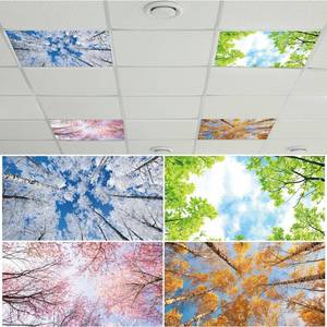 lot 8553 image: 4 Pcs Fluorescent Light Covers with 40 Magnets Decorative for Classroom Ceiling Light 4 x 2 Feet Magnetic Light Covers Filter Easy Install for Office Hospitals & Home Drop Ceiling Supplies (Season)