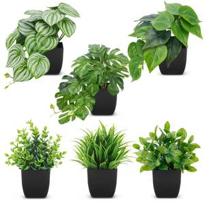 lot 8602 image: Der Rose 6 Pack Fake Plants Small Artificial Plants in Black Pots for Home Office Desk Bathroom Aesthetic Farmhouse Room Decor Indoor