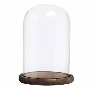 lot 8981 image: MyGift The Bell Jar Glass Cloche with Rustic Wood Base, 10 Inch Tall Clear Decorative Glass Dome Display for Plants, Curios, Keepsakes, Heirlooms