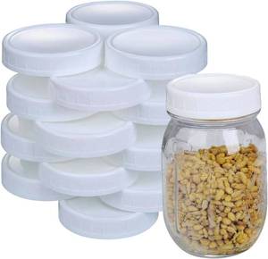 lot 9081 image: 2 Dozen Regular Mouth Lids Mason Jar Lids Plastic Storage Caps for Mason Canning Jars and More, Standard, Dia 70mm, White