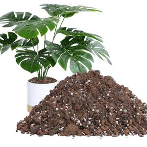 lot 1456 image: 3.2QT Monstera Soil Potting Mix - Natural Organic Tropical Plant Soil for Improving Growth Rate, Sustainable Houseplants Growing Media for Indoor Bonsai Succulents Moisture Retention Drainage