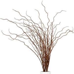 lot 1643 image: Srifoliage Artificial Plants Faux Greenery Eucalyptus Stems,Faux Branches for Vase Filler,Artificial Ficus Twig Branches Stems for Shop Garden Office Home Decor (3, Stems02)