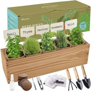 lot 26697 image: 5 Herb Garden Planter Indoor with Wooden Box, Home Kitchen Seed Starter Kit Including Basil, Thyme, Parsley, Rosemary, Mint, Birthday, Mothers Day, House Warming, Gardening Gifts for Women, Mom - Retail $37