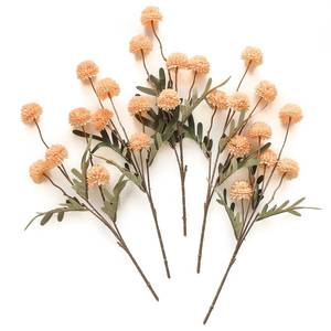 lot 26706 image: Floroom 5pcs Apricot Peach Faux Silk Mums Artificial Flowers, Bulk Fake Small Mini Chrysanthemums with Stems for DIY Wedding Centerpieces Floral Arrangements Vase Fillers Home Decorations - Retail $22