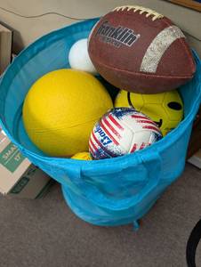 lot 335 image: Sports Ball Collection with Storage Hamper