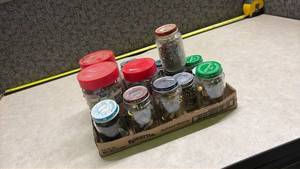 lot 1077 image: Mixed Hardware Lot in Jars