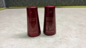 lot 1123 image: Petrified Forest Arizona Salt and Pepper Shakers