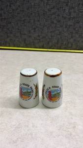 lot 1141 image: Itasca State Park Minnesota Souvenir Salt & Pepper Shakers. (SS)