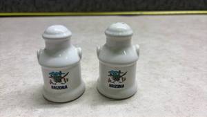 lot 1165 image: Arizona Roadrunner Salt and Pepper Shakers. (SS)