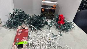 lot 1103 image: Christmas lights and power cord