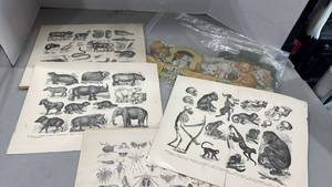 lot 2099 image: Natural History Animal Illustration Prints