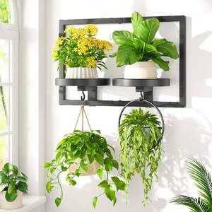 lot 11581 image: LASZOLA Black Wall Mount Plant Shelves with Hangers for Indoor Flower, Heavy Duty Metal Window Floating Planter Holders Stand, Modern Iron Picture Frame with Hook Decorative for Kitchen Bathroom