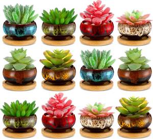 lot 11618 image: RimCereal 12 Pcs Succulent Pots 2.5 Inch Mini Ceramic Succulent Garden Flower Pots Planters with Drainage and Bamboo Tray for Indoor Garden Plants Planters Colorful Flower Pot(Round,1.2 Inch H)