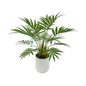 lot 11651 image: BESAMENATURE Artificial Palm Tree Plant, Potted Artificial Plant for Home Office Decoration, 12 Tall, Ships in White Ceramic Planter