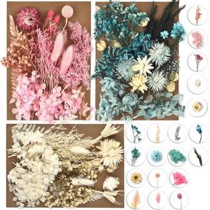 lot 16153 image: DALARAN 3 Pack Pressed Flowers for Candle Making DIY Dried Flowers Multiple Natural Pressed Flowers Colorful Decorative Dried Flowers