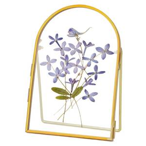 lot 20234 image: REDHUGO Double Glass Frame for Pressed Flowers Handmade, Metal Floating Picture Frame for Pressed Flower, Tabletop Display, Brass, ArcShaped, Gold, 4x6 inches (FRAME ONLY)