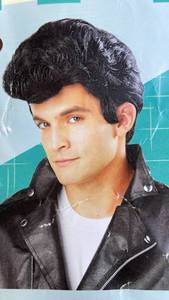 lot 16269 image: Seasons 50s Greasers Style Black Wig, 3 inches Novelty Rock Star Cosplay Accessory for Adult