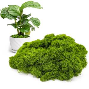lot 20328 image: Aspamms Fake Green Moss for Potted Plants Indoor, 5.3oz Artificial Moss for Crafts, Faux Moss Decor for Fairy Garden, DIY Decorative, Model Making, Walls, Glass Containers, Home