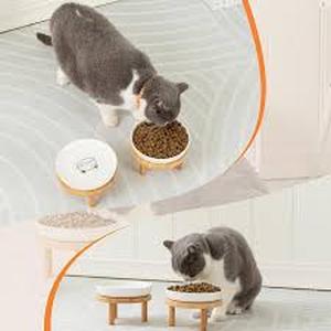 lot 8006 image: Shallow Elevated Cat Bowls with Bamboo Stand, 5.9 Inch Wide Ceramic Cat Dish Whisker Friendly, 2 Pack Pet Food and Water Plates