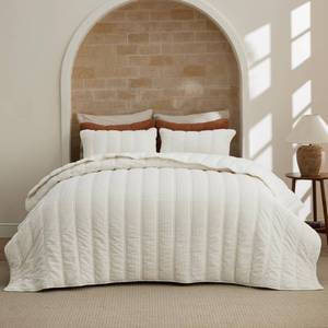 lot 3134 image: Bedsure Luxury Velvet Quilt Queen Size - Lightweight Velvet Ivory Comforter Set, Oversized Bedspread Coverlet Bedding Set for All Season, Pet-Friendly, Tear-Resistant, Ultra-Soft, 90x96