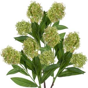 lot 3182 image: Briful 3PCS Artificial Flowers Faux Skimmia Spray with Leaves 22.8 Inch Long Stem Fake Plants for Home Vase Table Centerpiece Floral Arrangement Wedding Bouquet (Green)