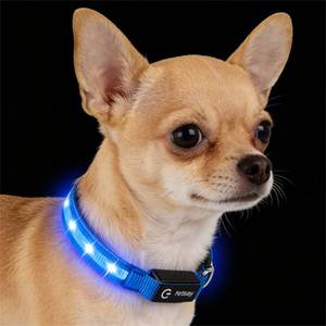 lot 12064 image: LED Dog Collar for Small Dogs Cats - Fully Waterproof & Adjustable Glow Collar - USB-C Rechargeable for Night Walking, Safety - Flashing Lighted Collar for Dogs(Blue,XS)