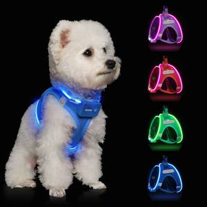 lot 12374 image: Light Up Dog Harness,Rechargeable LED Dog Harness for Small Medium Large Dogs,Reflective Lighted Safety Vest for Night Walking & Camping,Lightweight & Adjustable,Sky Blue,M