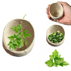 lot 19476 image: Pottery Herb Stripper Bowl �� 4-Slot Herb Stripper for Kale, Herbs & Broccoli  Dishwasher-Safe, Ergonomic Design  Fast Leaf Removal, Space-Saving for Kitchens & RVs(White)