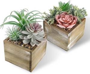 lot 20378 image: Der Rose 2 Pack Fake Plants Succulents Plants Artificial Cactus Plants in Wood Pots with Pink Flowers for Farmhouse Bathroom Decor