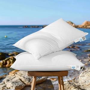 lot 7903 image: AiAngu Canadian Luxury Goose Down Pillow Standard Size, 750 Fill Power, 100percent Cotton with Teflon Shell- Ultra Comfort Sleep Pillows - Bed Pillows for Back, Stomach(White,Standard(Pack of 2))