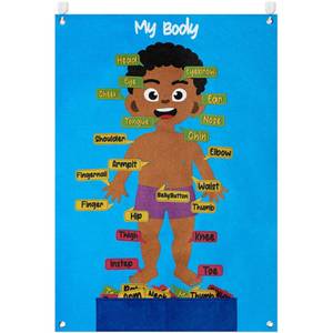 lot 8102 image: WATINC 35Pcs Brown Skin Color Body Parts Learning Felt Story Board Set, Human Organ Educational Teaching Storytelling Kit, Early Learning Interactive Play Wall Hanging Gift for Toddlers Kids