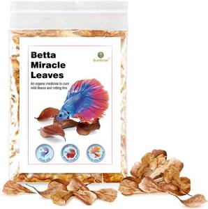 lot 12192 image: SunGrow 50 pcs Catappa Indian Almond Leaves for Betta Fish Tank Aquarium, 2� Water Conditioner Leaves, Leaf Also Suitable for Shrimp, Goldfish, Guppy and Frogs